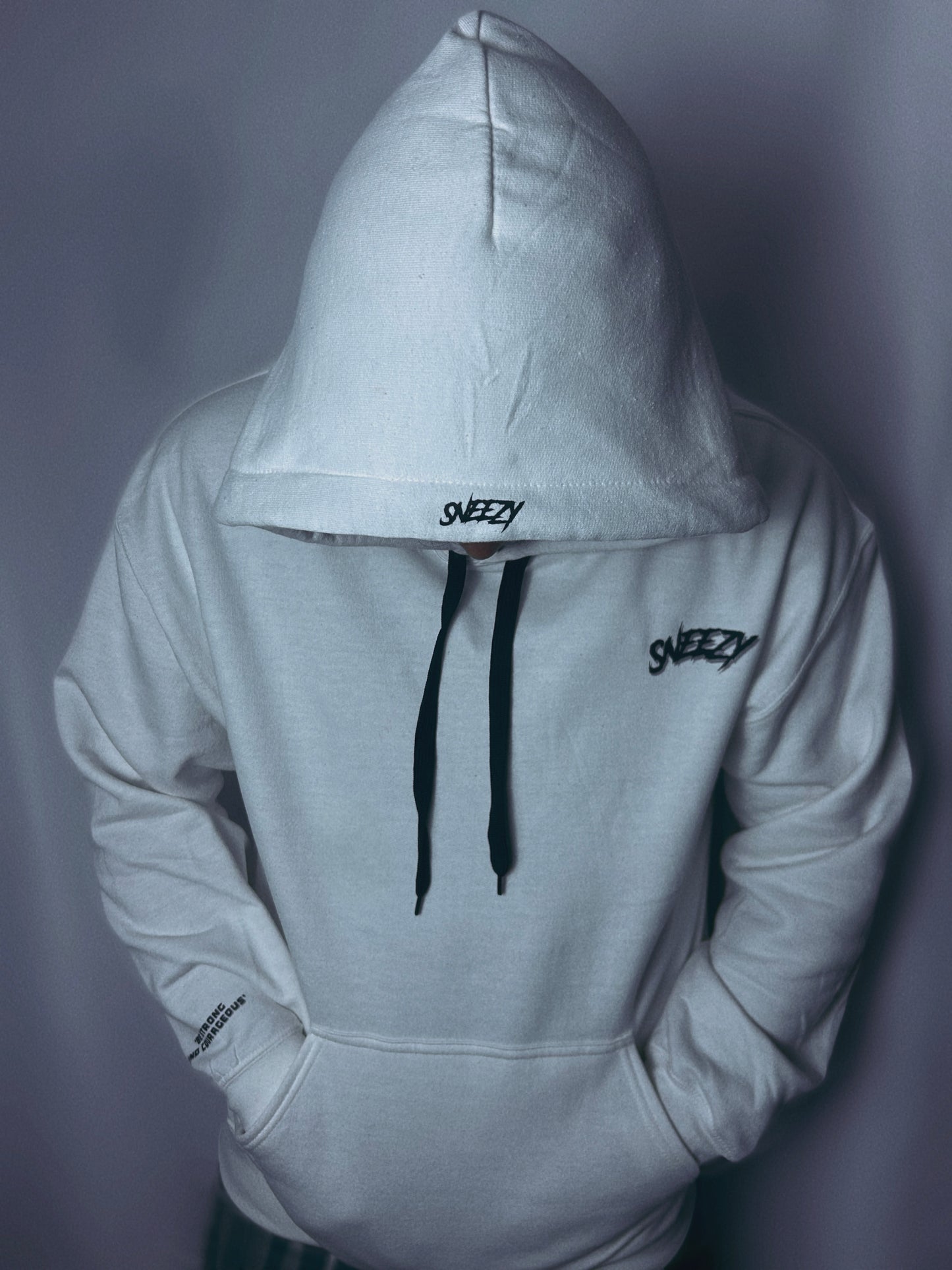 Sneezy ‘The Beginning’ Hoodie